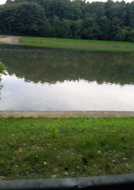 IMG-20260901-WA0009.jpeg
